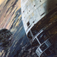 Illustration for article titled My Year Without Star Wars